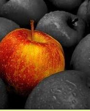 تعریف مفهومی و عملیاتی برنامه درسی + نمونه پروپوزال آماده